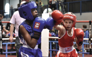 News_FFBoxe_federation_francaise_de_boxe